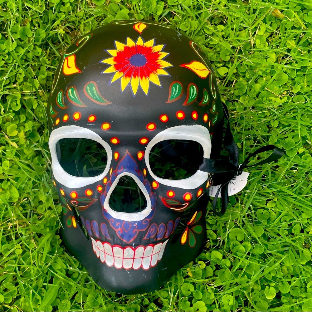 Hand painted skull 💀 mask.